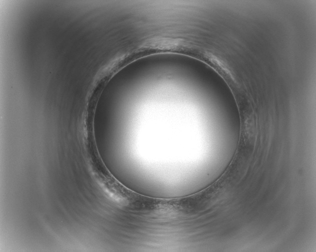 X0000069360682200605150917