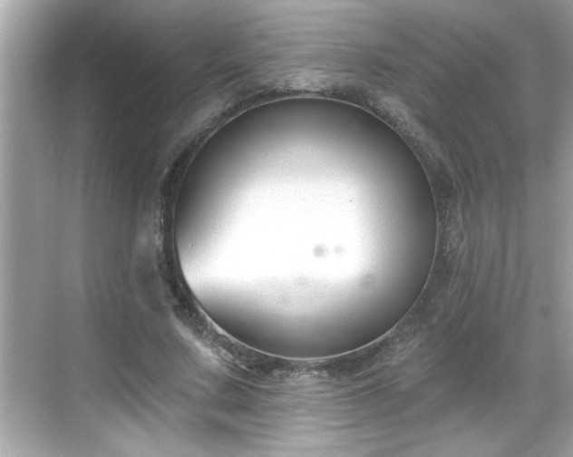 X0000069360683200605150917