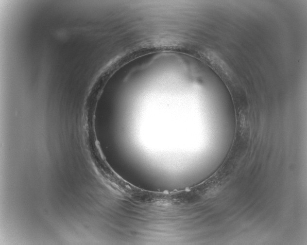 X0000069360684200605150917