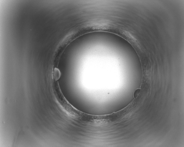 X0000069360686200605150917