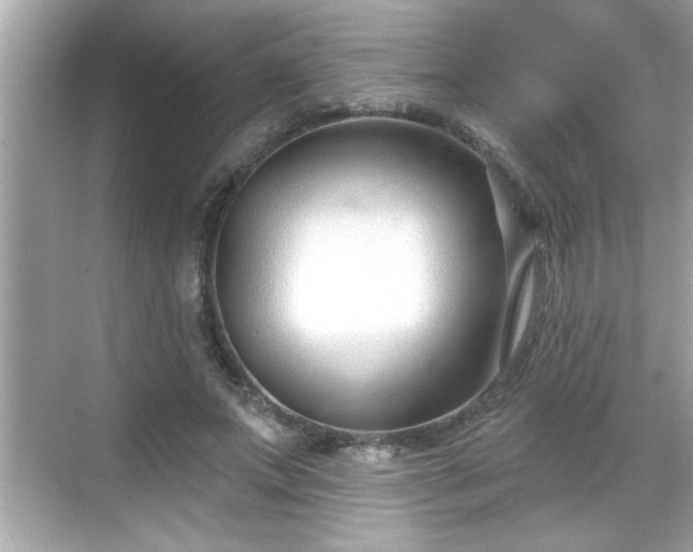 X0000069360687200605150917