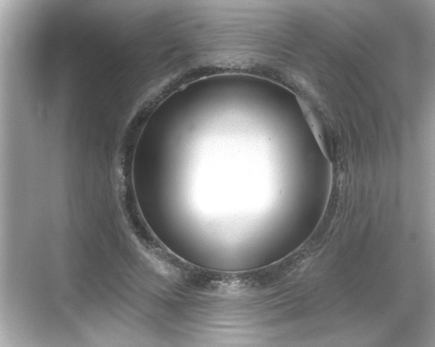 X0000069360688200605150917