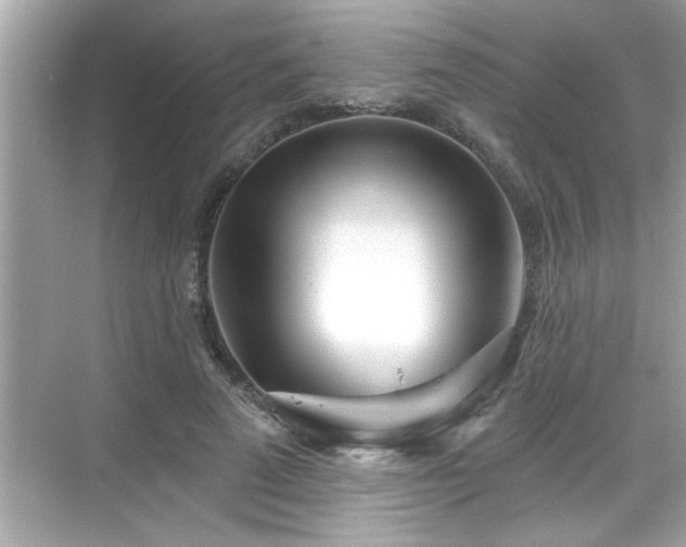 X0000069360689200605150917