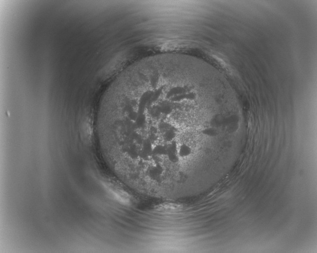 X0000069360691200605150917