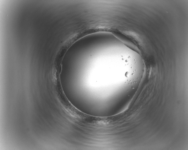 X0000069360692200605150917