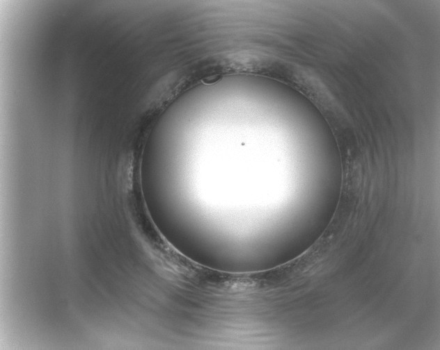 X0000069360694200605150917