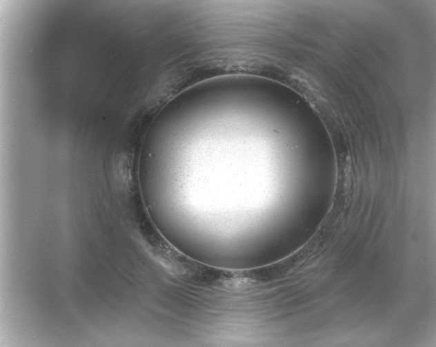 X0000069360695200605150917