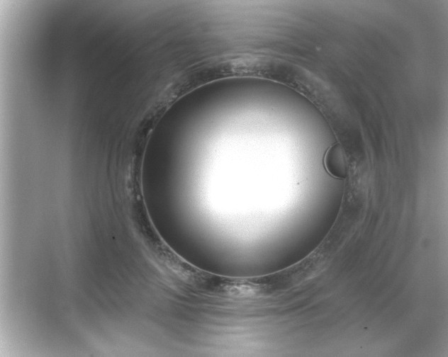 X0000069360698200605150917