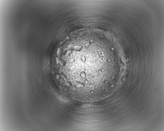 X0000069360699200605150917