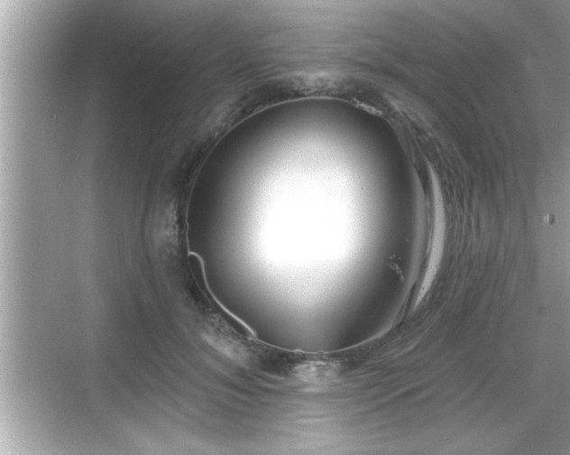 X0000069360700200605150917