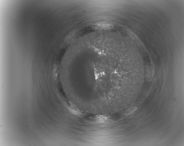 X0000069360701200605150917