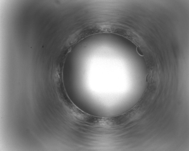 X0000069360702200605150917