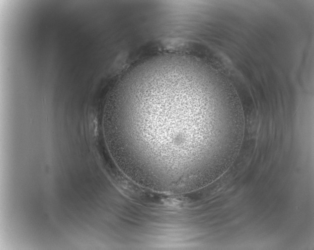 X0000069360703200605150917