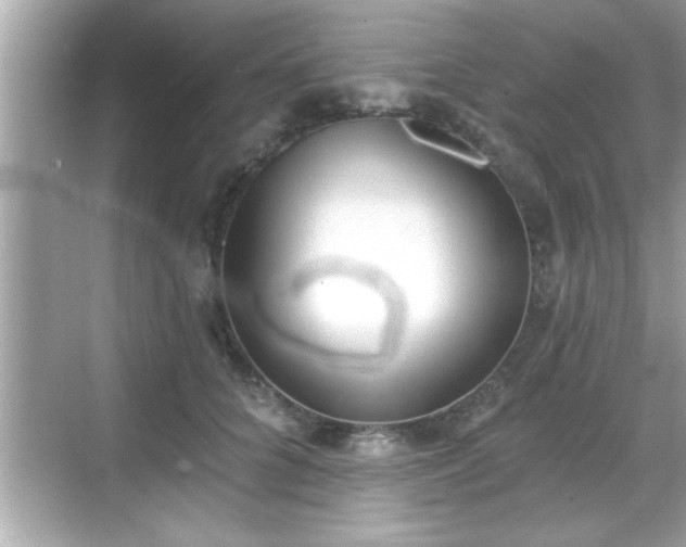 X0000069360704200605150917