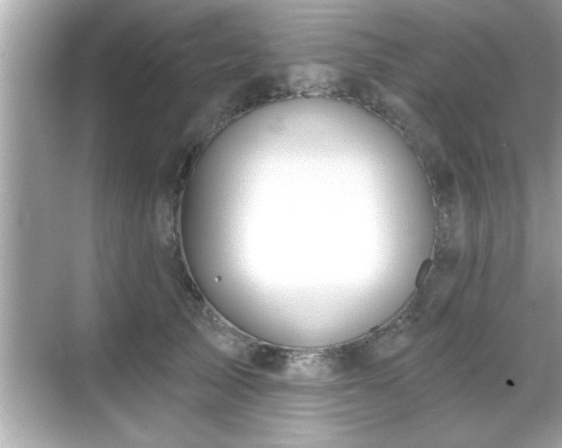 X0000069360705200605150917