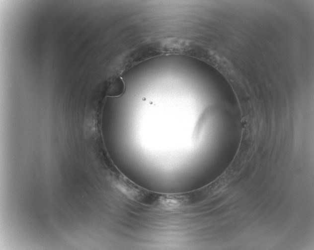 X0000069360706200605150916