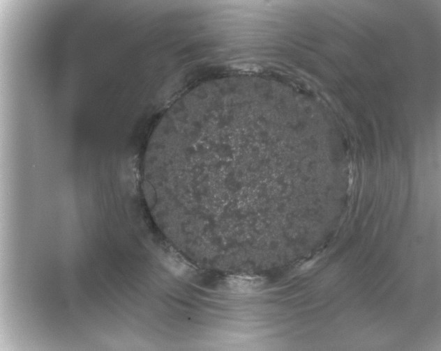 X0000069360707200605150916