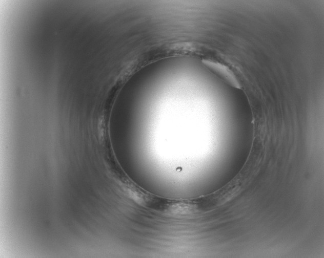 X0000069360708200605150916