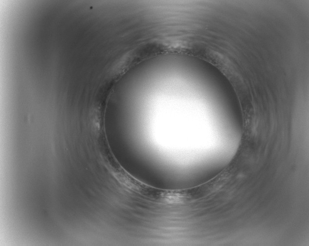 X0000069360710200605150916