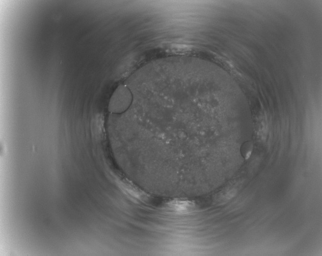 X0000069360711200605150916