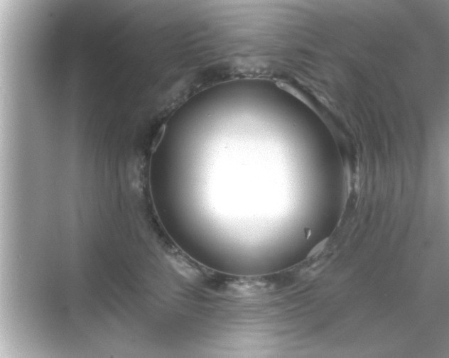 X0000069360712200605150916