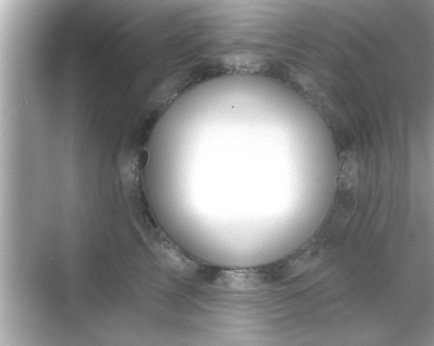 X0000069360713200605150916