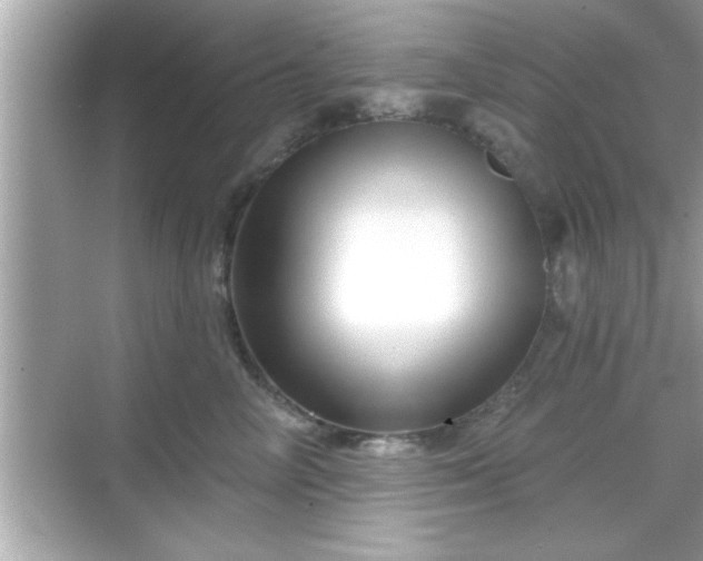 X0000069360714200605150916