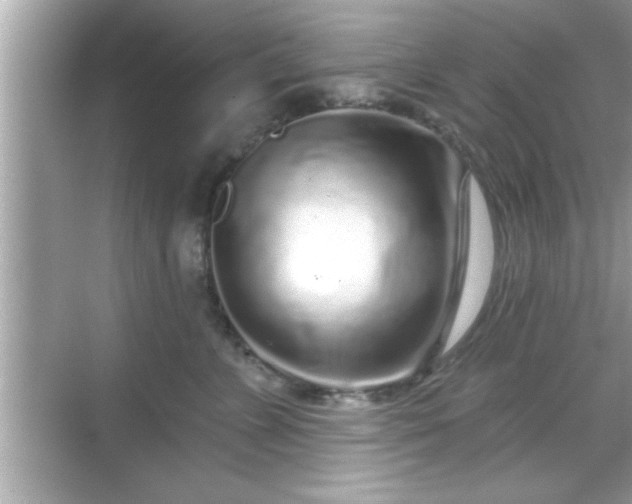 X0000069360715200605150916