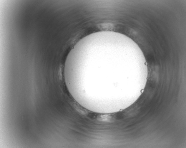 X0000069360717200605150916