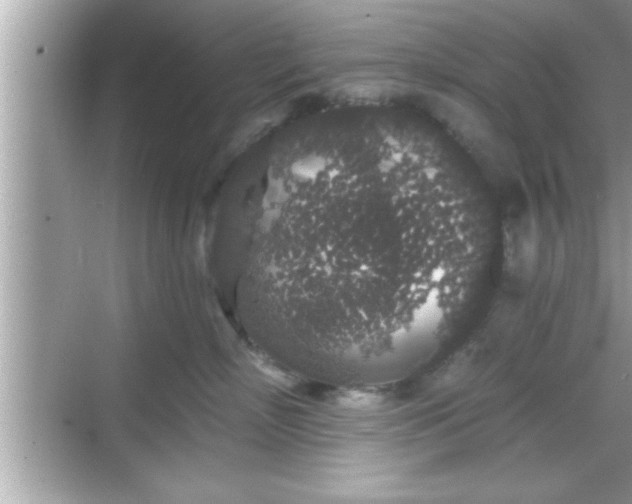 X0000069360718200605150916