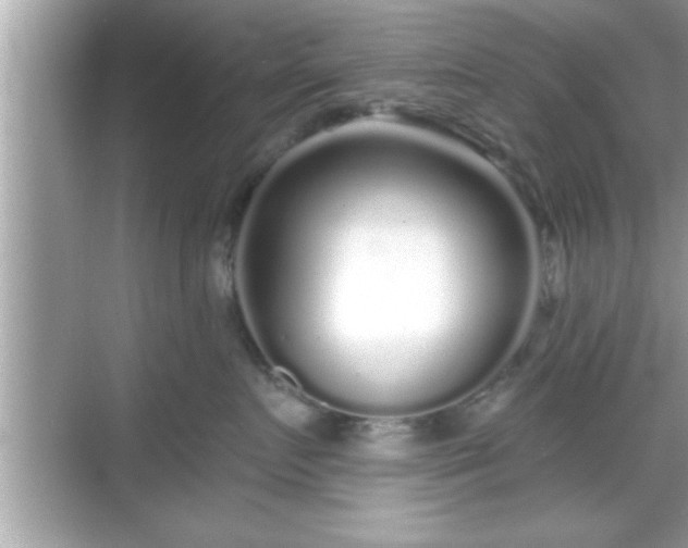 X0000069360719200605150916