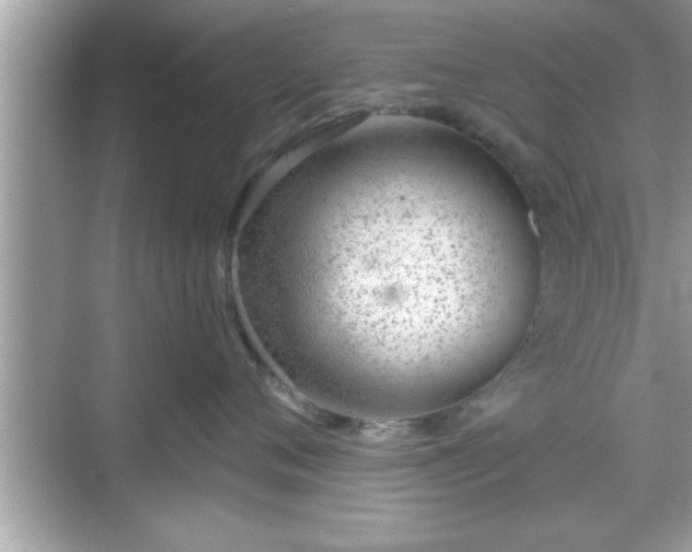 X0000069360720200605150916