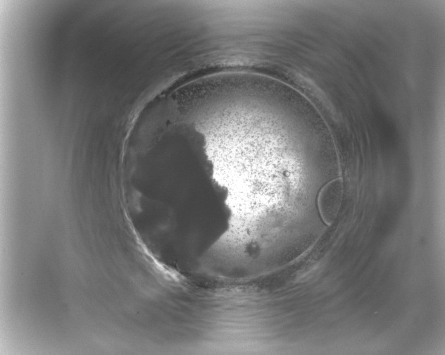 X0000069360721200605150915