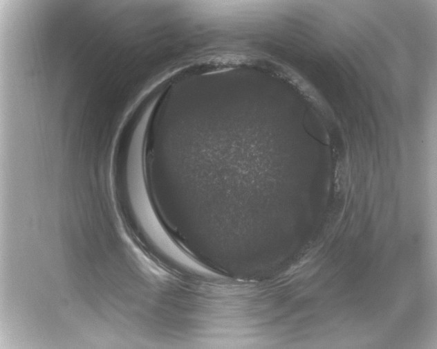 X0000069360722200605150915