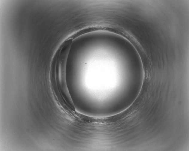 X0000069360724200605150915