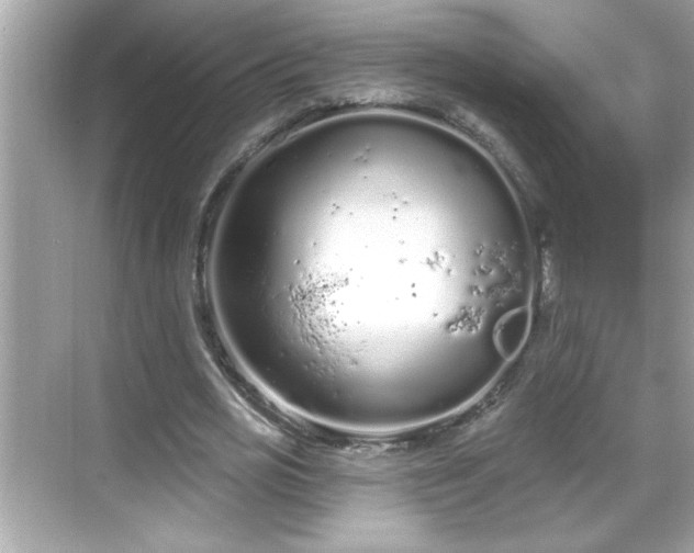 X0000069360725200605150916