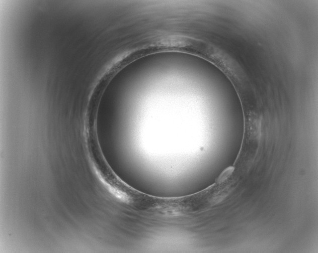 X0000069360726200605150916