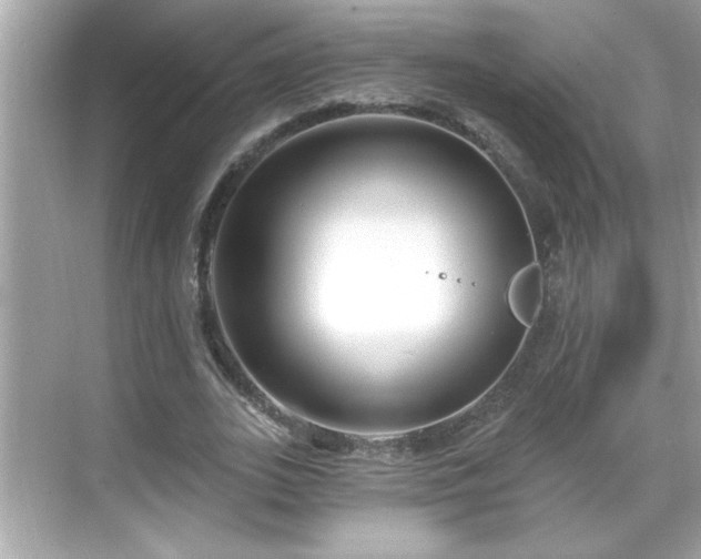 X0000069360727200605150916