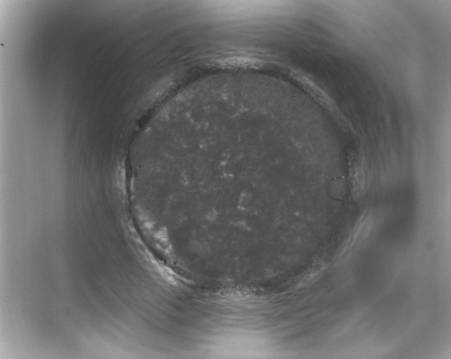 X0000069360729200605150916