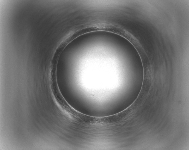 X0000069360730200605150916