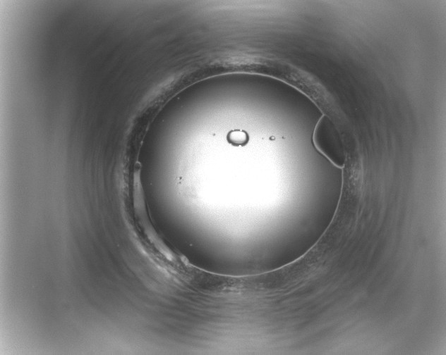 X0000069360732200605150916