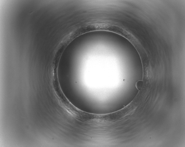 X0000069360733200605150916