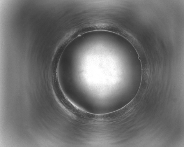 X0000069360734200605150916