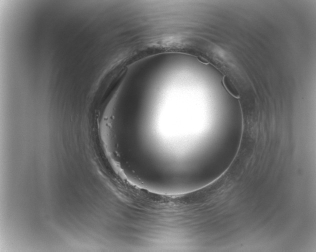 X0000069360735200605150916