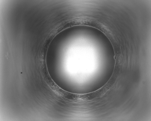 X0000069360737200605150916