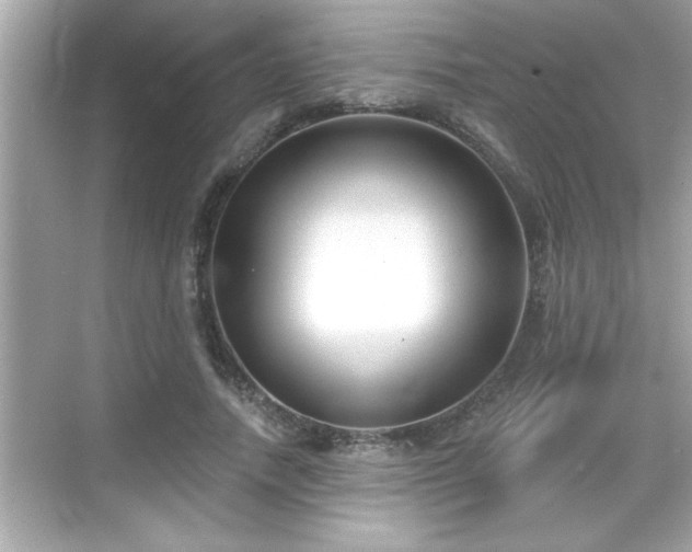 X0000069360738200605150916