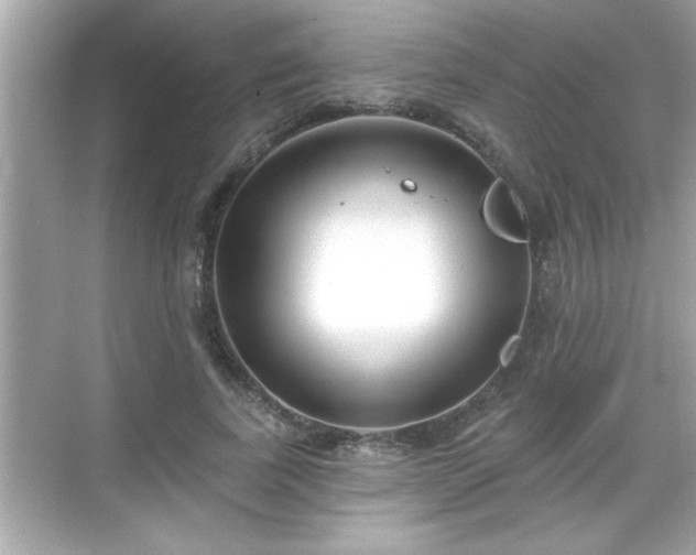 X0000069360739200605150916