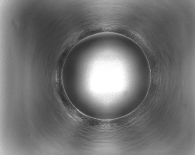 X0000069360740200605150916