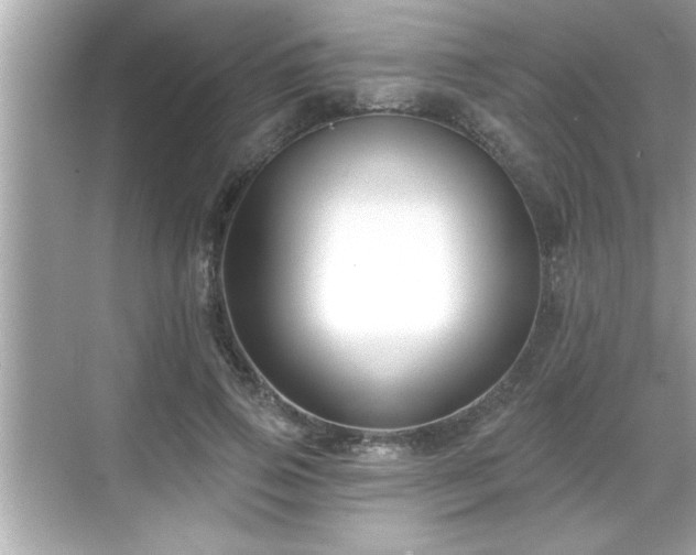 X0000069360741200605150916