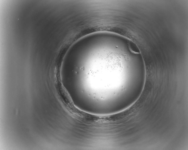 X0000069360742200605150916